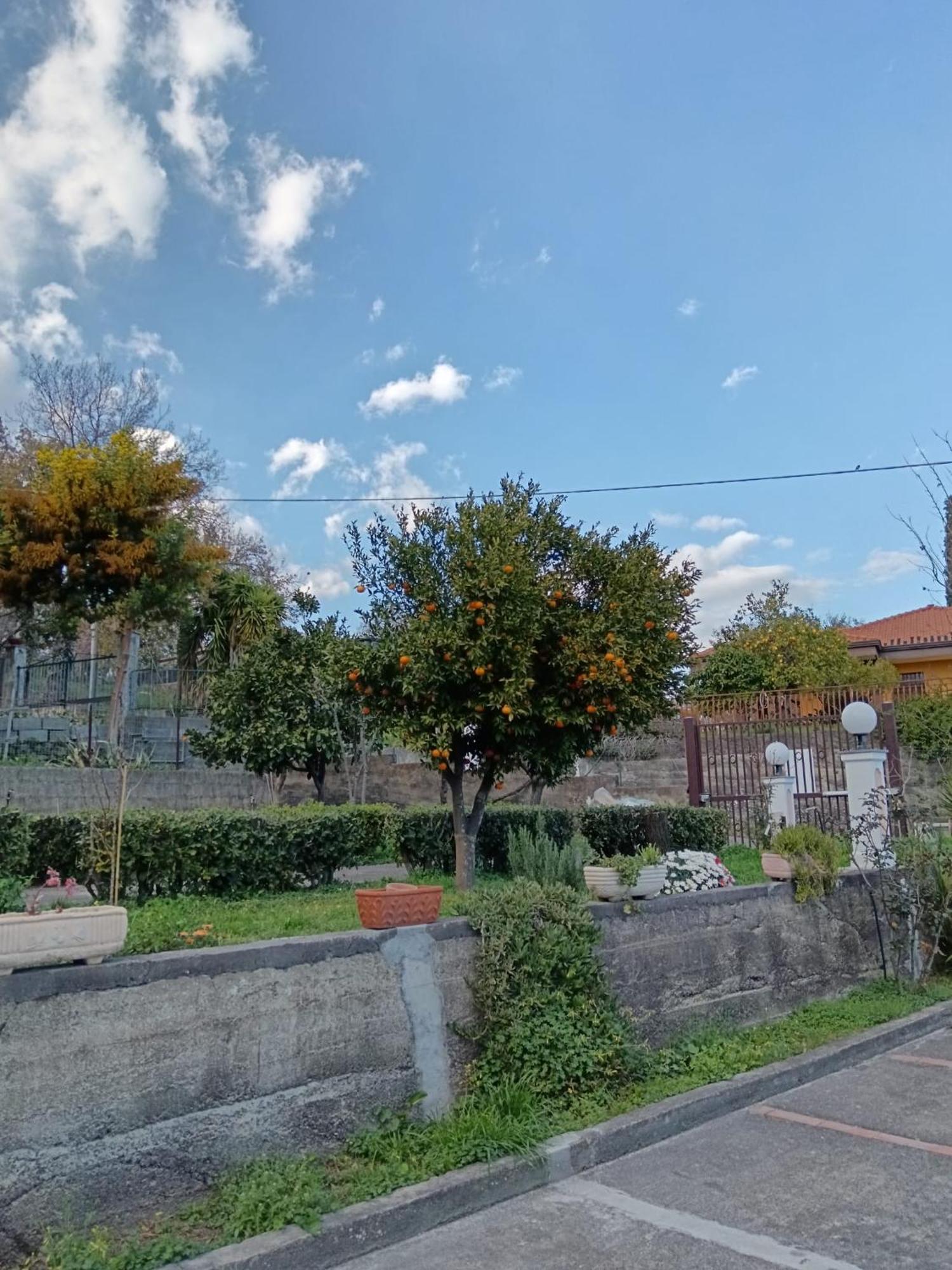 Apartament Abbentu Zafferana Etnea Zewnętrze zdjęcie